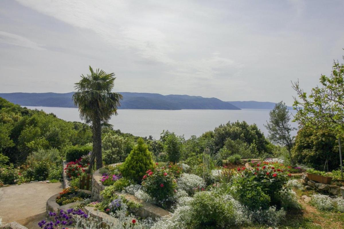 Villa Paradiso In Plomin - Istrien Eksteriør bilde