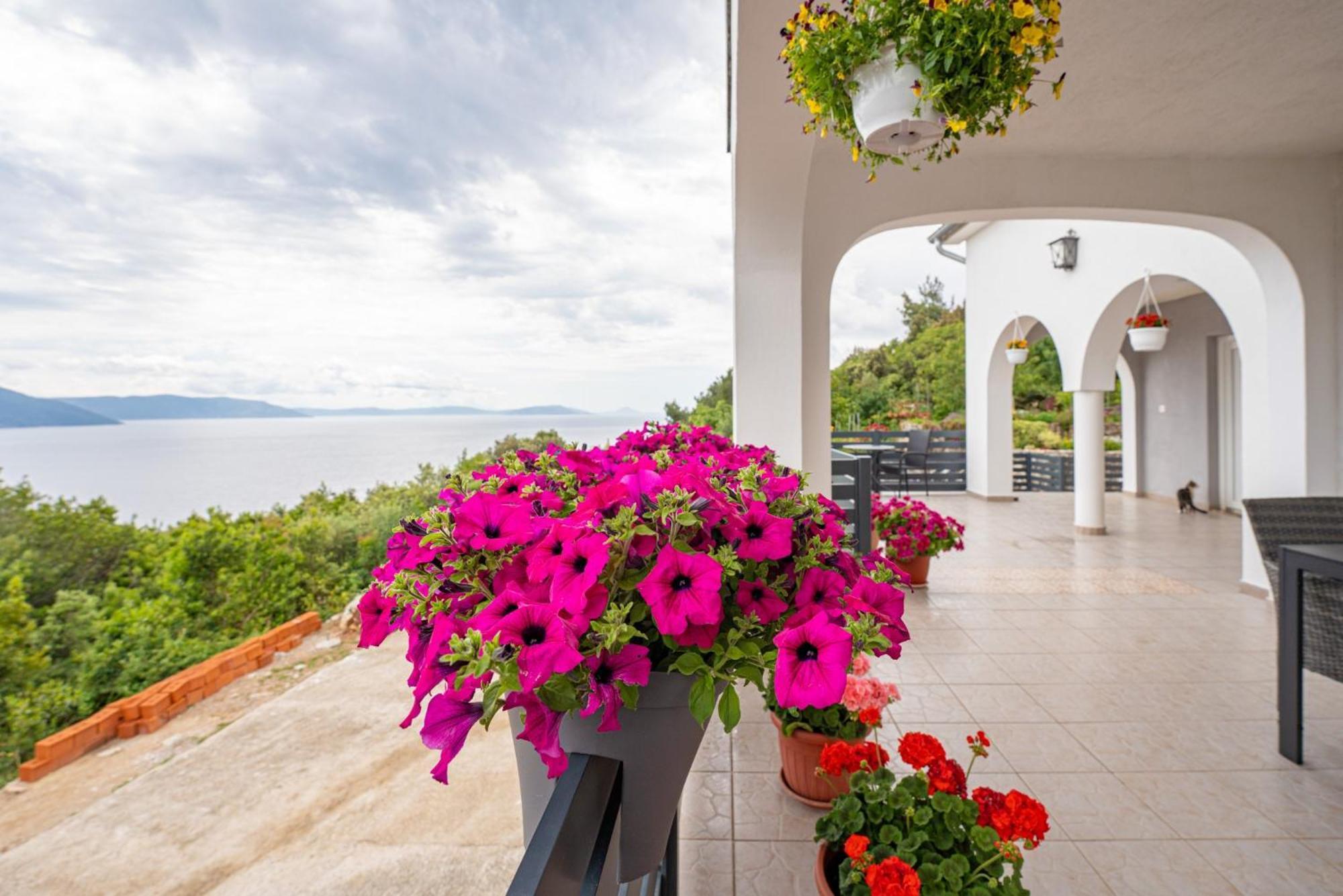 Villa Paradiso In Plomin - Istrien Eksteriør bilde